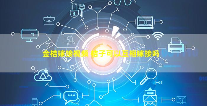 金桔嫁接视频 桔子可以互相嫁接吗